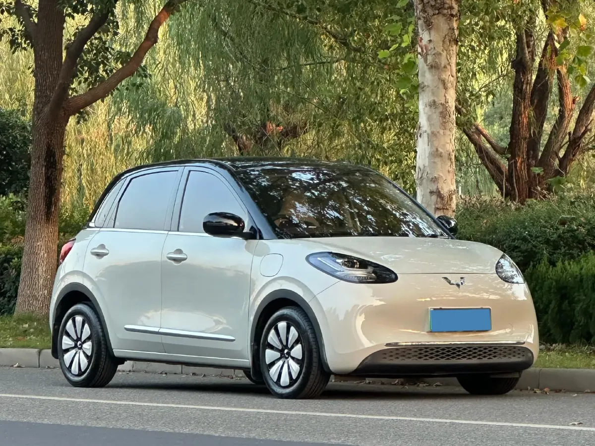 2023 WuLing BinGuo BEV 31.9KWH,autocango,china used car exporter,china ev exporter,chinese used car exporter,chinese used ev exporter