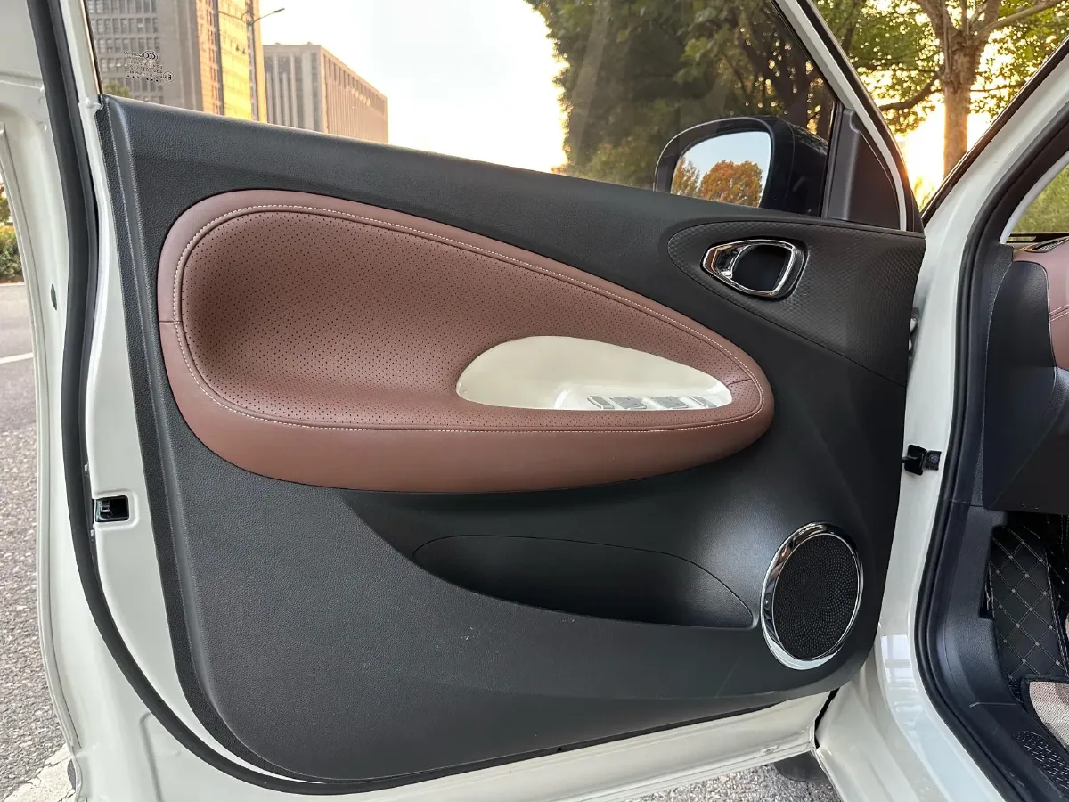 2023 WuLing BinGuo BEV 31.9KWH,autocango,china used car exporter,china ev exporter,chinese used car exporter,chinese used ev exporter