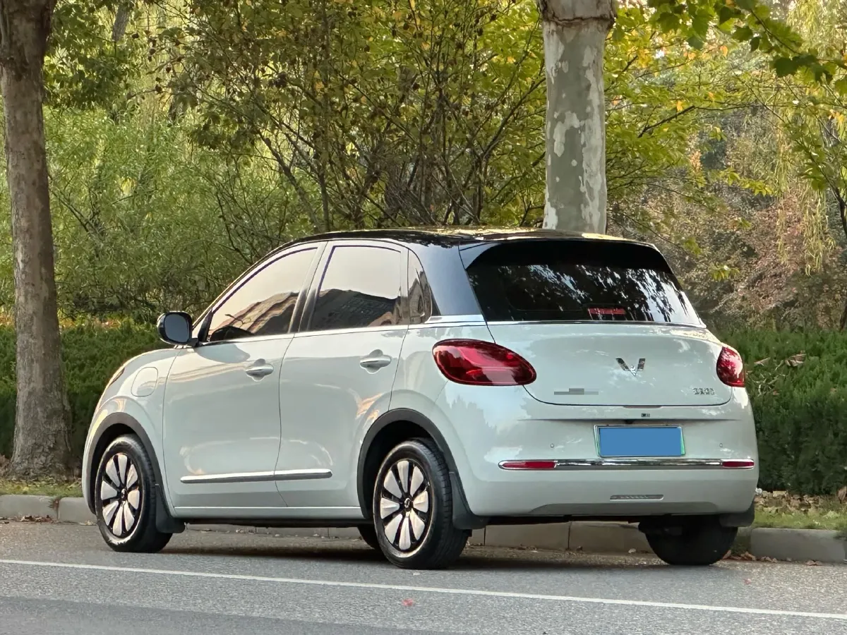 2023 WuLing BinGuo BEV 31.9KWH,autocango,china used car exporter,china ev exporter,chinese used car exporter,chinese used ev exporter