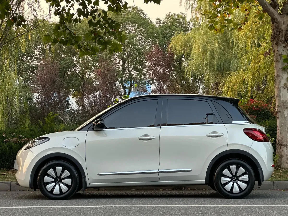 2023 WuLing BinGuo BEV 31.9KWH,autocango,china used car exporter,china ev exporter,chinese used car exporter,chinese used ev exporter