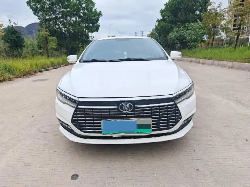 2019 BYD QIN thumbnail 2
