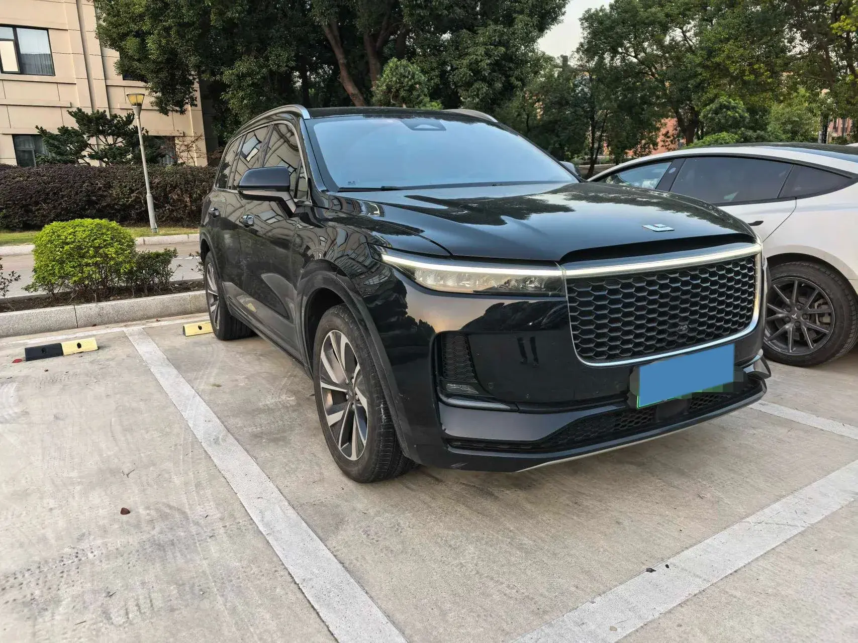 2021 LI ONE thumbnail 3