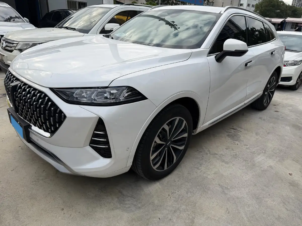 2021 WEY Mocha 2.0T 214HP L4 9DCT