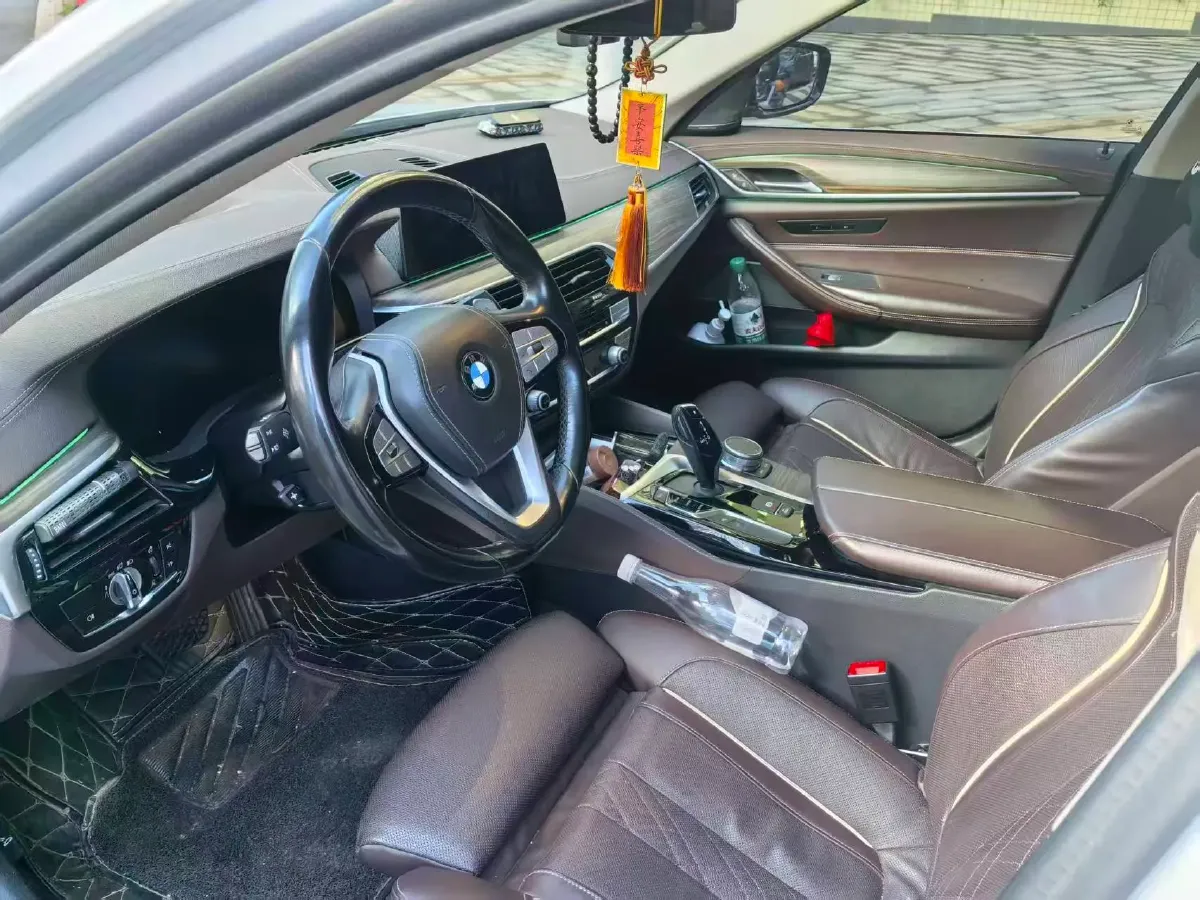 2020 BMW 5 Series 2.0T 252HP L4 8AT,autocango,china used car exporter,china ev exporter,chinese used car exporter,chinese used ev exporter