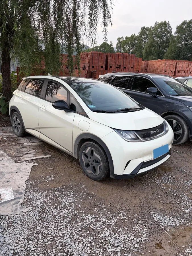 2021 BYD Dolphin BEV 44.9KWH,autocango,china used car exporter,china ev exporter,chinese used car exporter,chinese used ev exporter