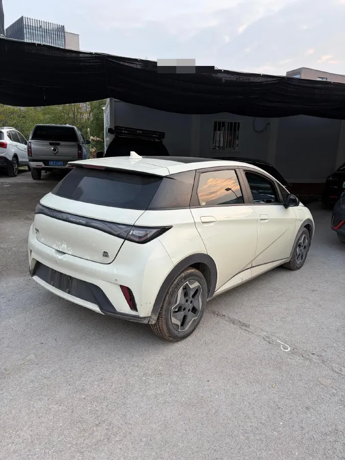 2021 BYD Dolphin BEV 44.9KWH,autocango,china used car exporter,china ev exporter,chinese used car exporter,chinese used ev exporter