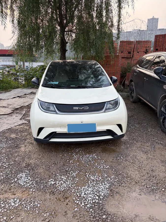 2021 BYD Dolphin BEV 44.9KWH,autocango,china used car exporter,china ev exporter,chinese used car exporter,chinese used ev exporter