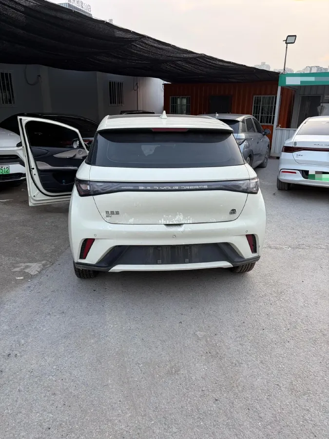 2021 BYD Dolphin BEV 44.9KWH,autocango,china used car exporter,china ev exporter,chinese used car exporter,chinese used ev exporter