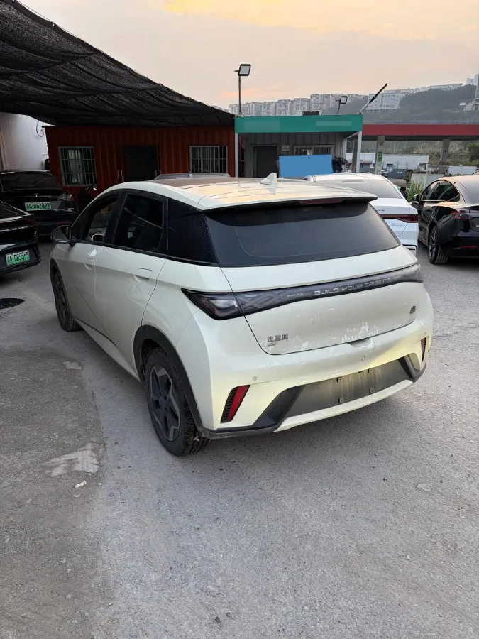 2021 BYD Dolphin BEV 44.9KWH,autocango,china used car exporter,china ev exporter,chinese used car exporter,chinese used ev exporter