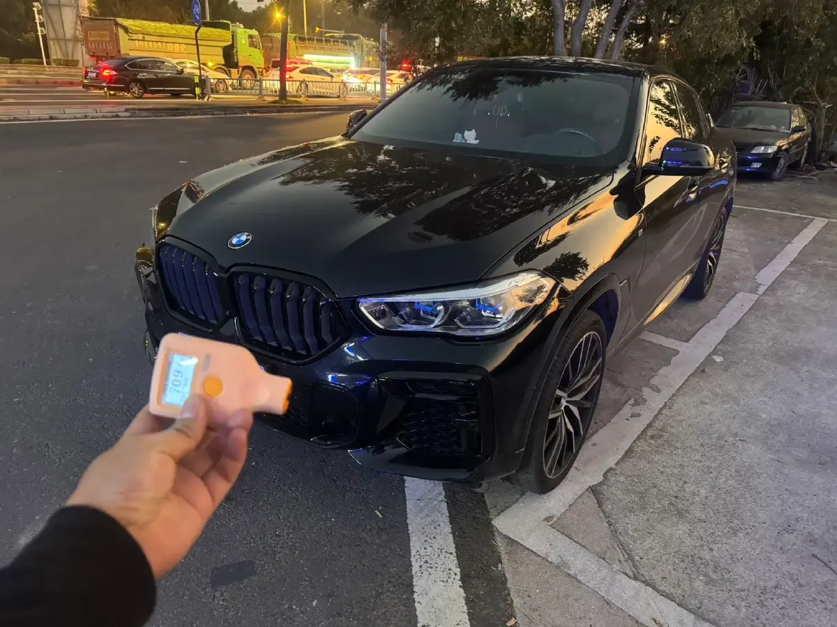 2022 BMW X6 3.0T 333HP L6 8AT