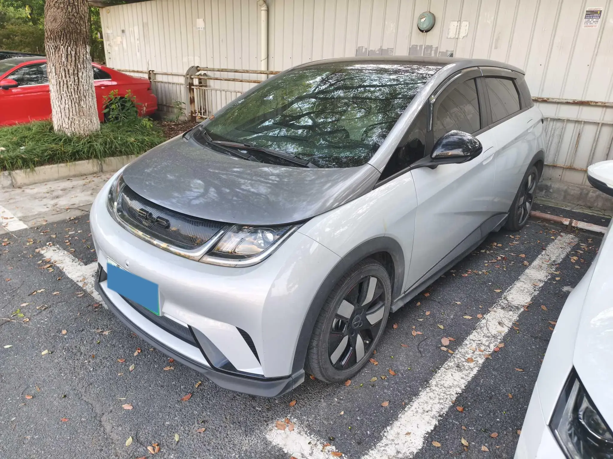 2021 BYD DOLPHIN view 1