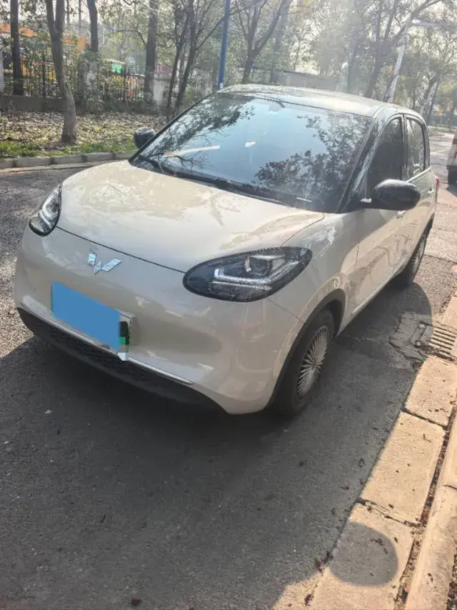 2023 WuLing BinGuo BEV 17.3KWH