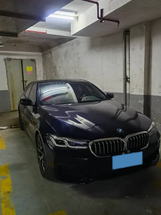 2021 BMW 5 Series 2.0T 252HP L4 8AT,autocango,china used car exporter,china ev exporter,chinese used car exporter,chinese used ev exporter