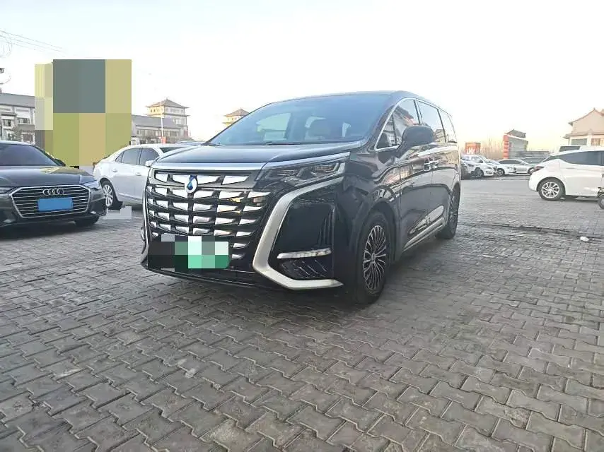 2022 Denza D9 1.5T 139HP L4 E-CVT PHEV 40.06KWH
