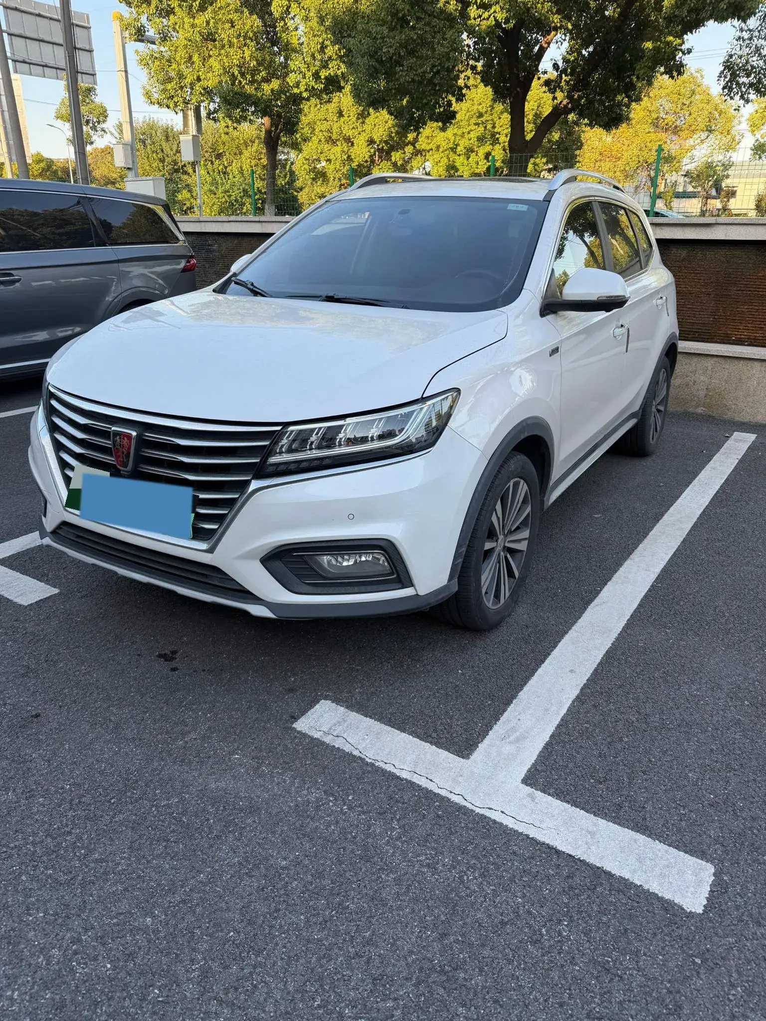 2019 ROEWE RX5 view 1