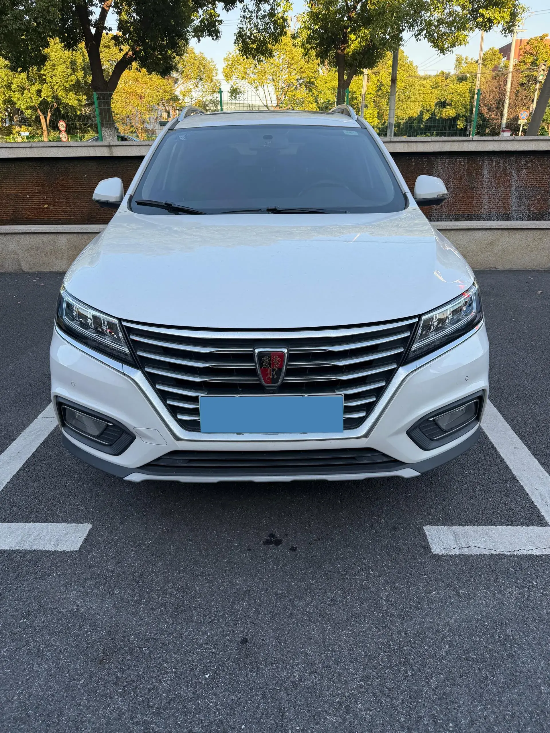 2019 ROEWE RX5 thumbnail 2