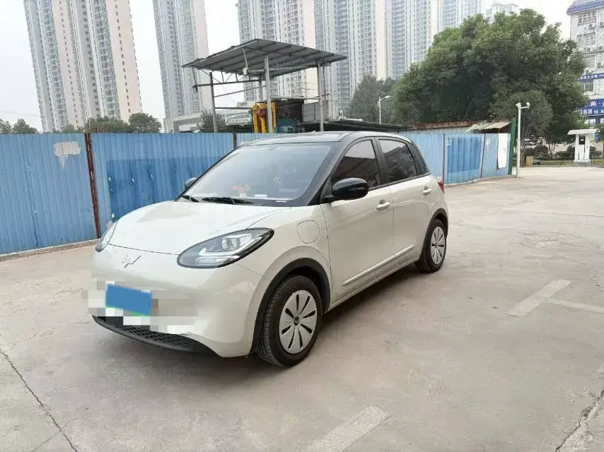 2025 WuLing BinGuo BEV