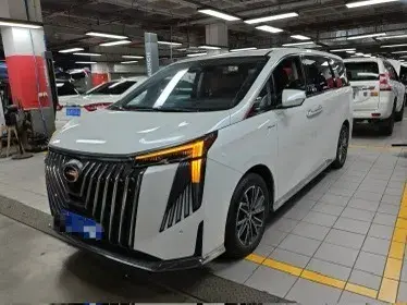 2024 GAC Trumpchi M8 2.0T 252HP L4 8AT