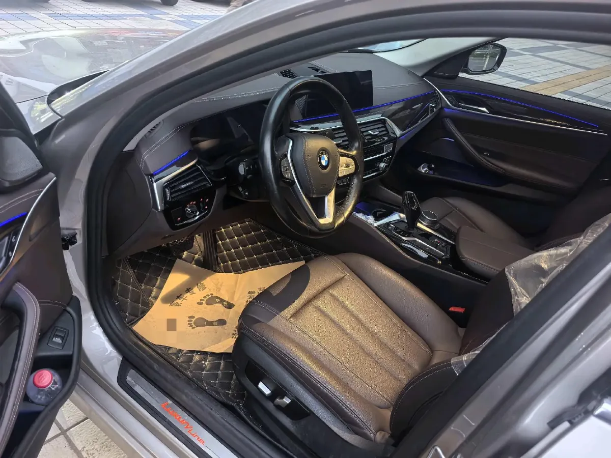 2020 BMW 5 Series 2.0T 184HP L4 8AT,autocango,china used car exporter,china ev exporter,chinese used car exporter,chinese used ev exporter