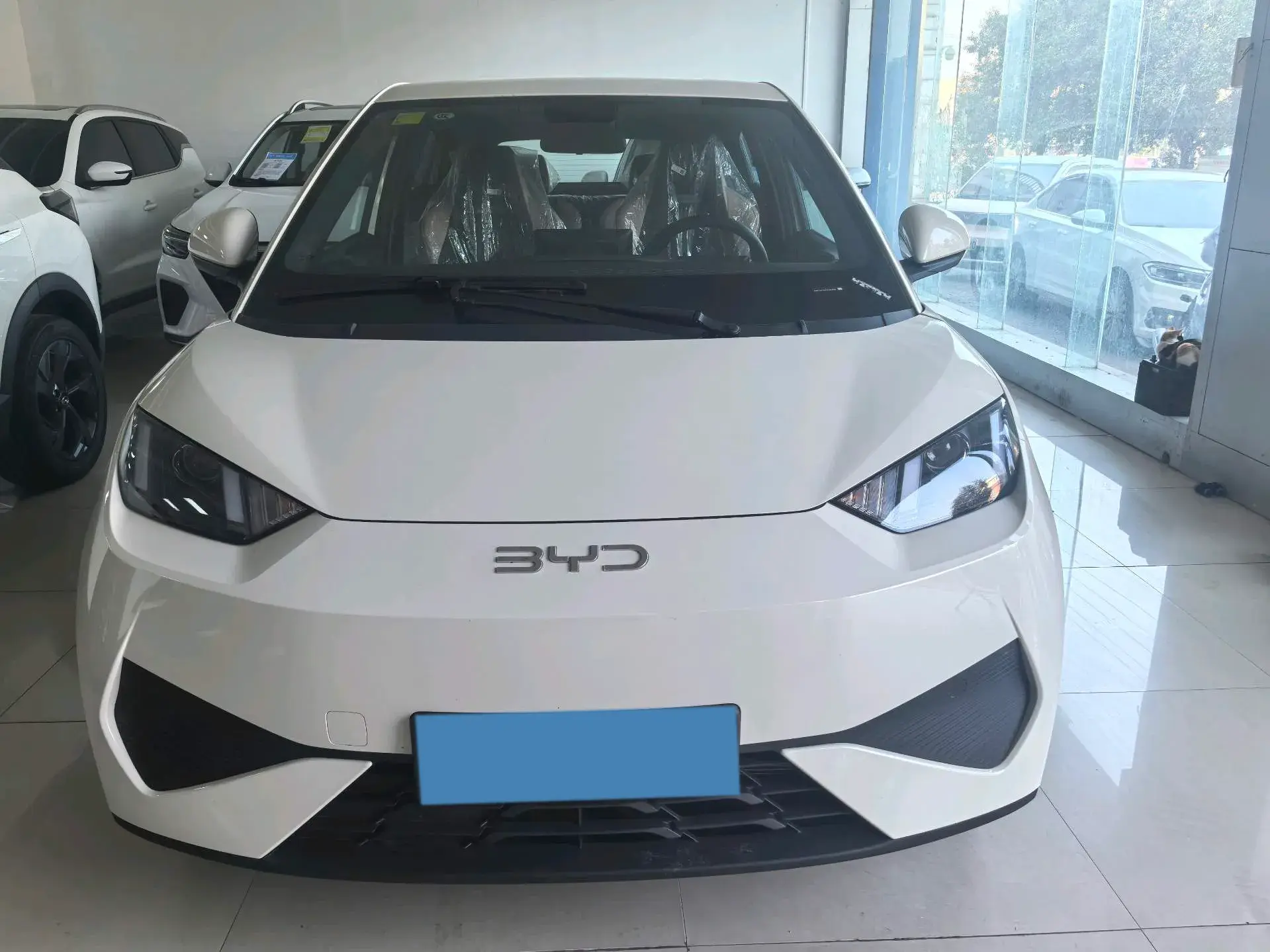 2025 BYD SEAGULL thumbnail 2