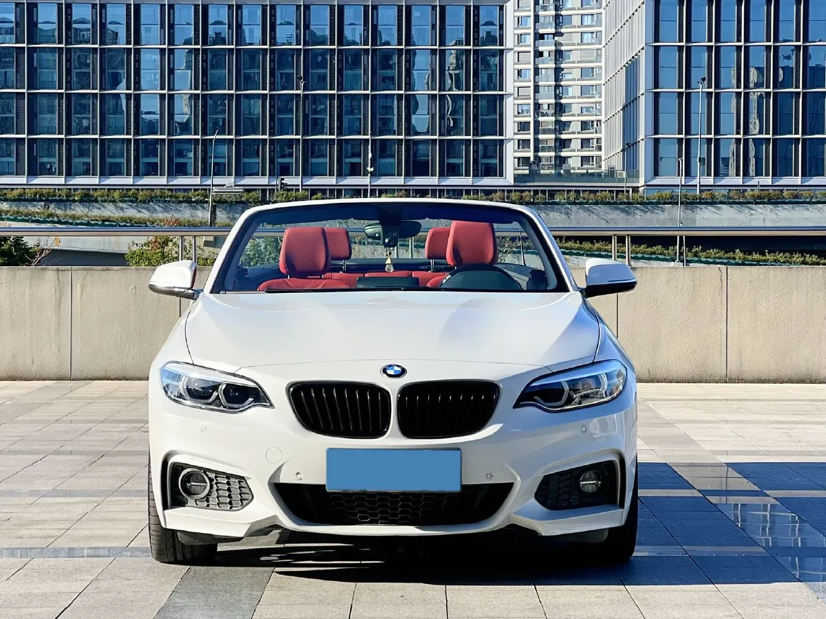 2019 BMW 2 Series 2.0T 184HP L4 8AT,autocango,china used car exporter,china ev exporter,chinese used car exporter,chinese used ev exporter