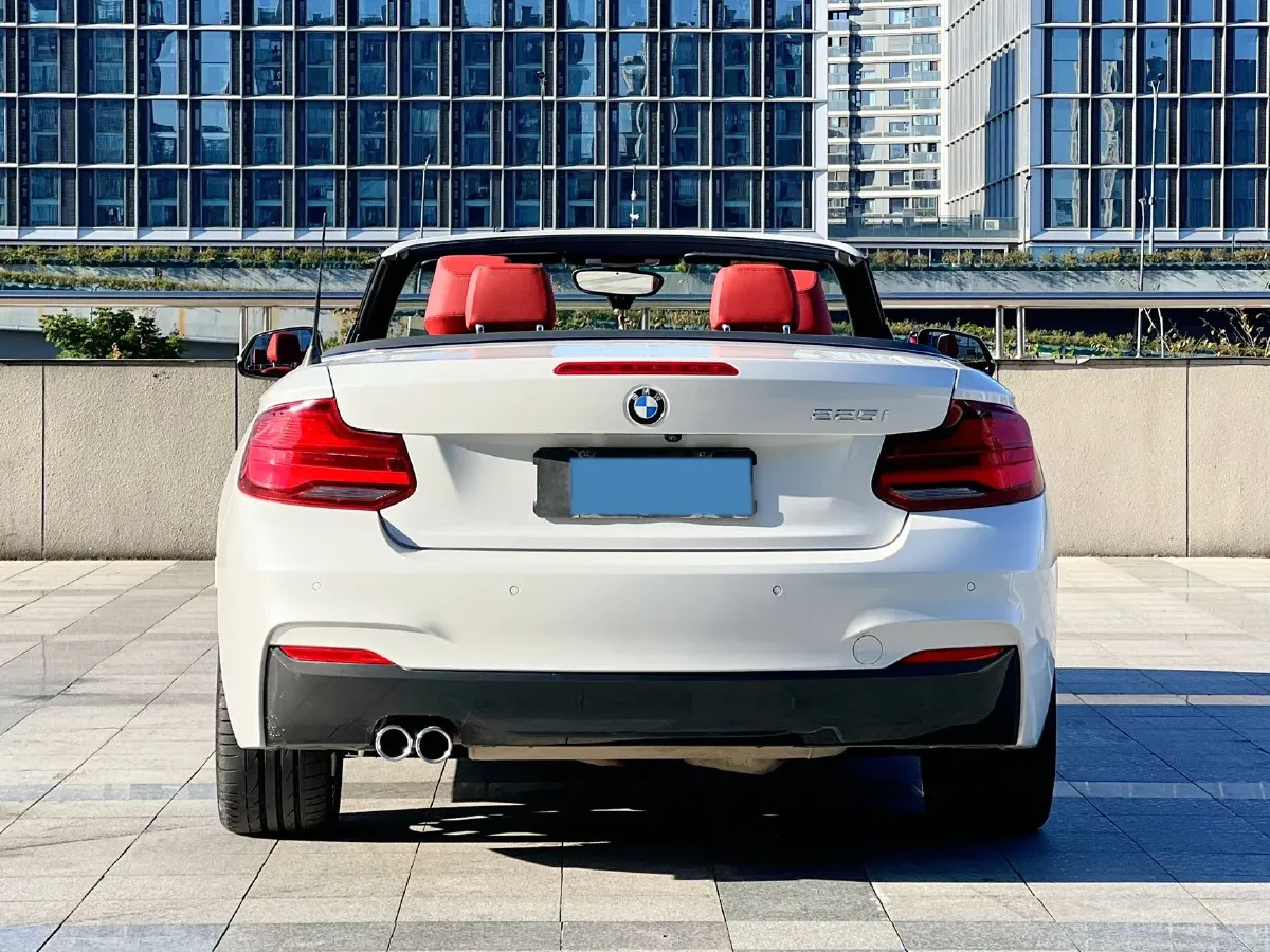 2019 BMW 2 Series 2.0T 184HP L4 8AT,autocango,china used car exporter,china ev exporter,chinese used car exporter,chinese used ev exporter