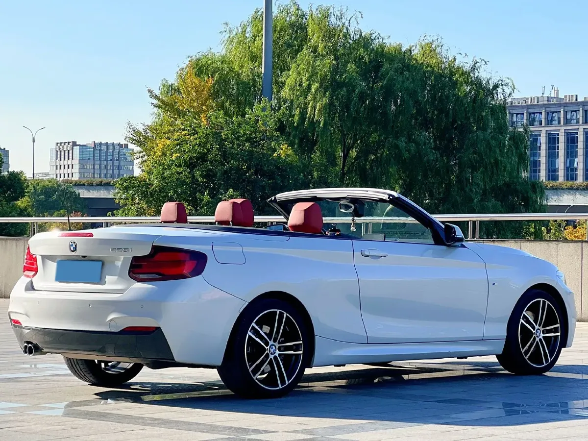 2019 BMW 2 Series 2.0T 184HP L4 8AT,autocango,china used car exporter,china ev exporter,chinese used car exporter,chinese used ev exporter