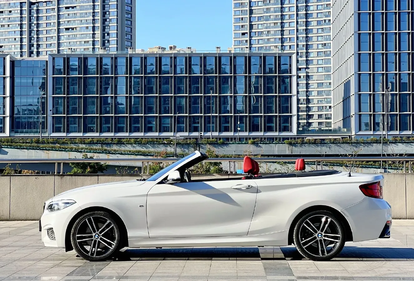 2019 BMW 2 Series 2.0T 184HP L4 8AT,autocango,china used car exporter,china ev exporter,chinese used car exporter,chinese used ev exporter