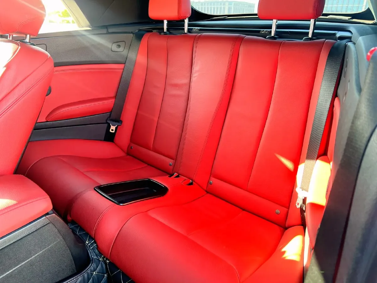 2019 BMW 2 Series 2.0T 184HP L4 8AT,autocango,china used car exporter,china ev exporter,chinese used car exporter,chinese used ev exporter