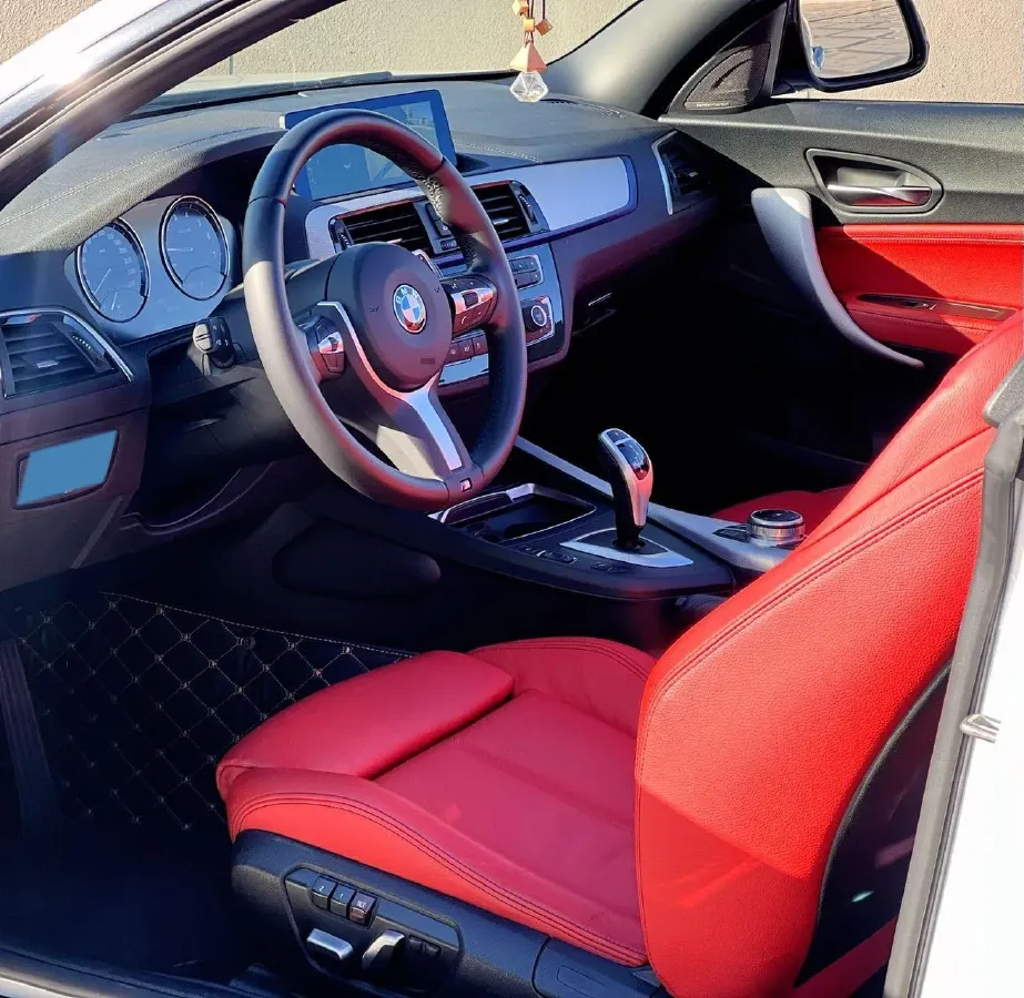 2019 BMW 2 Series 2.0T 184HP L4 8AT,autocango,china used car exporter,china ev exporter,chinese used car exporter,chinese used ev exporter