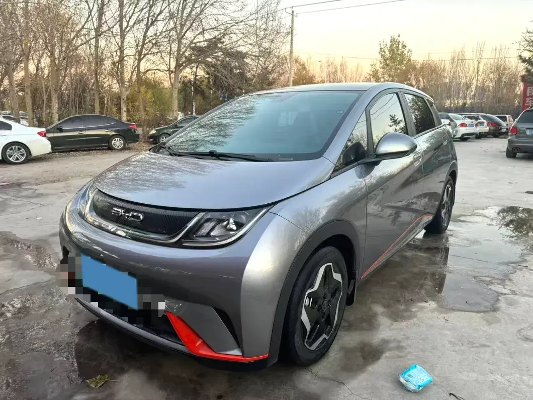 2021 BYD Dolphin BEV 44.9KWH