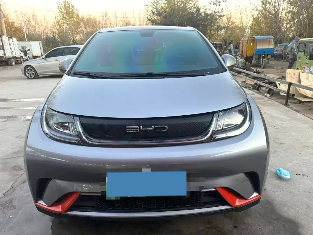 2021 BYD Dolphin BEV 44.9KWH,autocango,china used car exporter,china ev exporter,chinese used car exporter,chinese used ev exporter