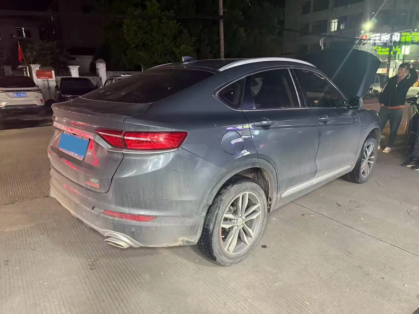 2020 GEELY TUGELLA thumbnail 2