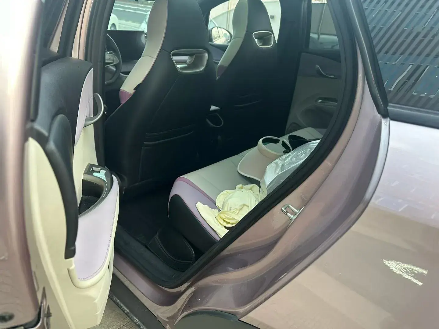 2021 BYD DOLPHIN thumbnail 3