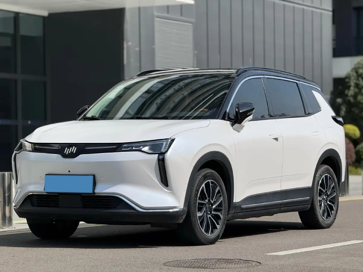 2021 Weltmeister W6 BEV 66.231KWH