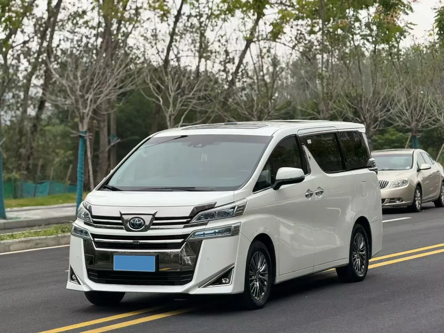 2019 TOYOTA VELLFIRE view 1