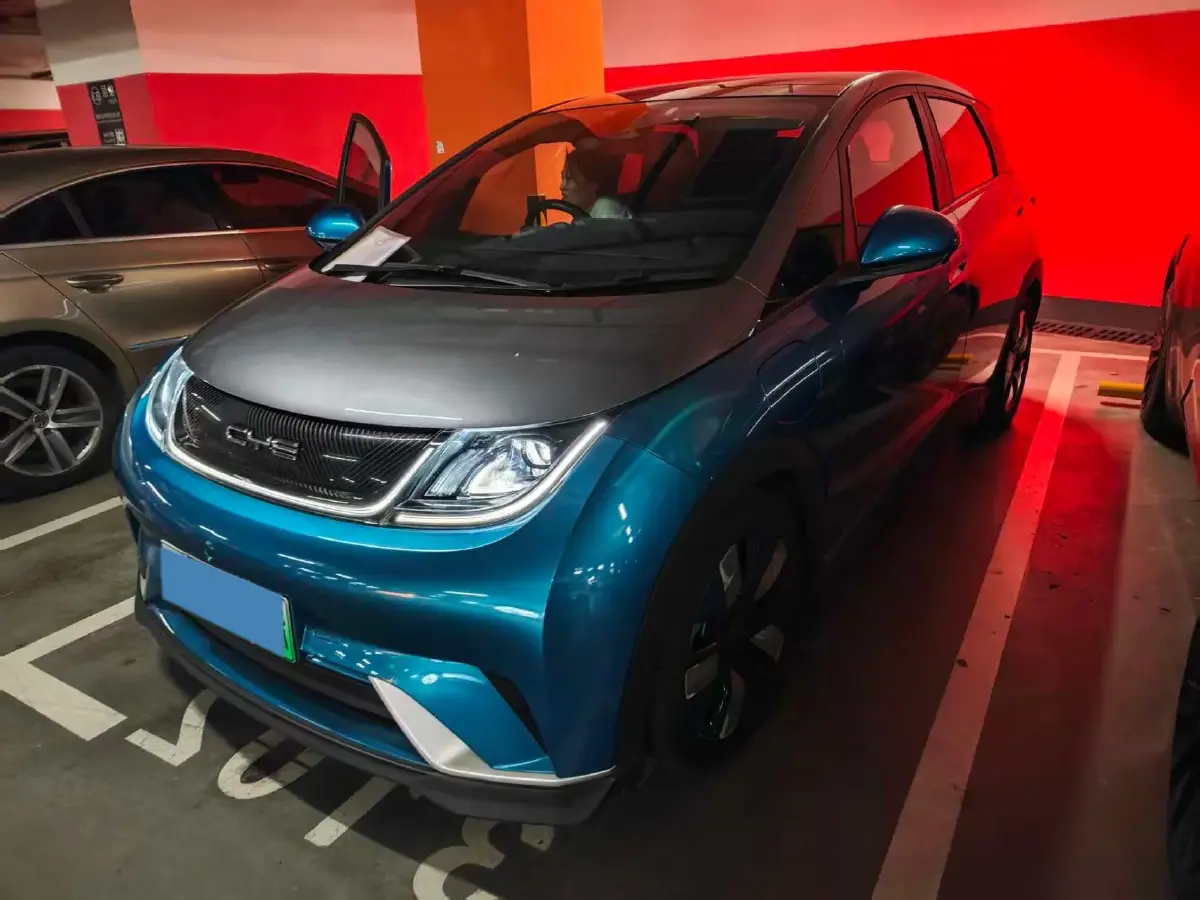2021 BYD Dolphin BEV 44.9KWH