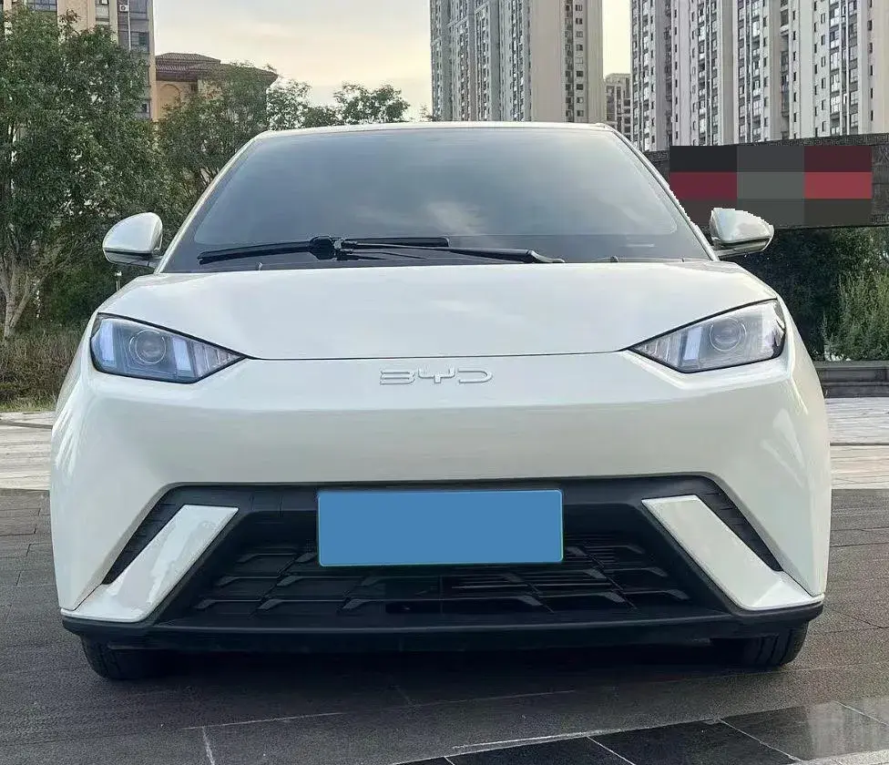 2024 BYD SEAGULL thumbnail 2