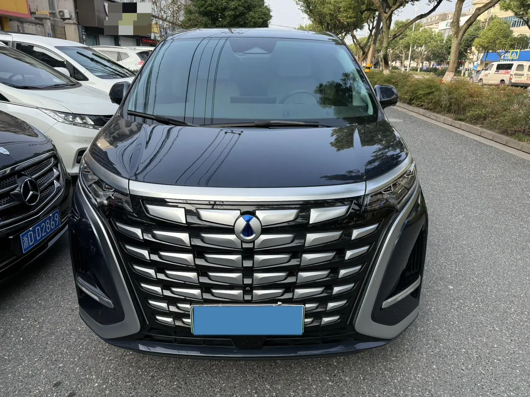 2022 DENZA D9 thumbnail 2