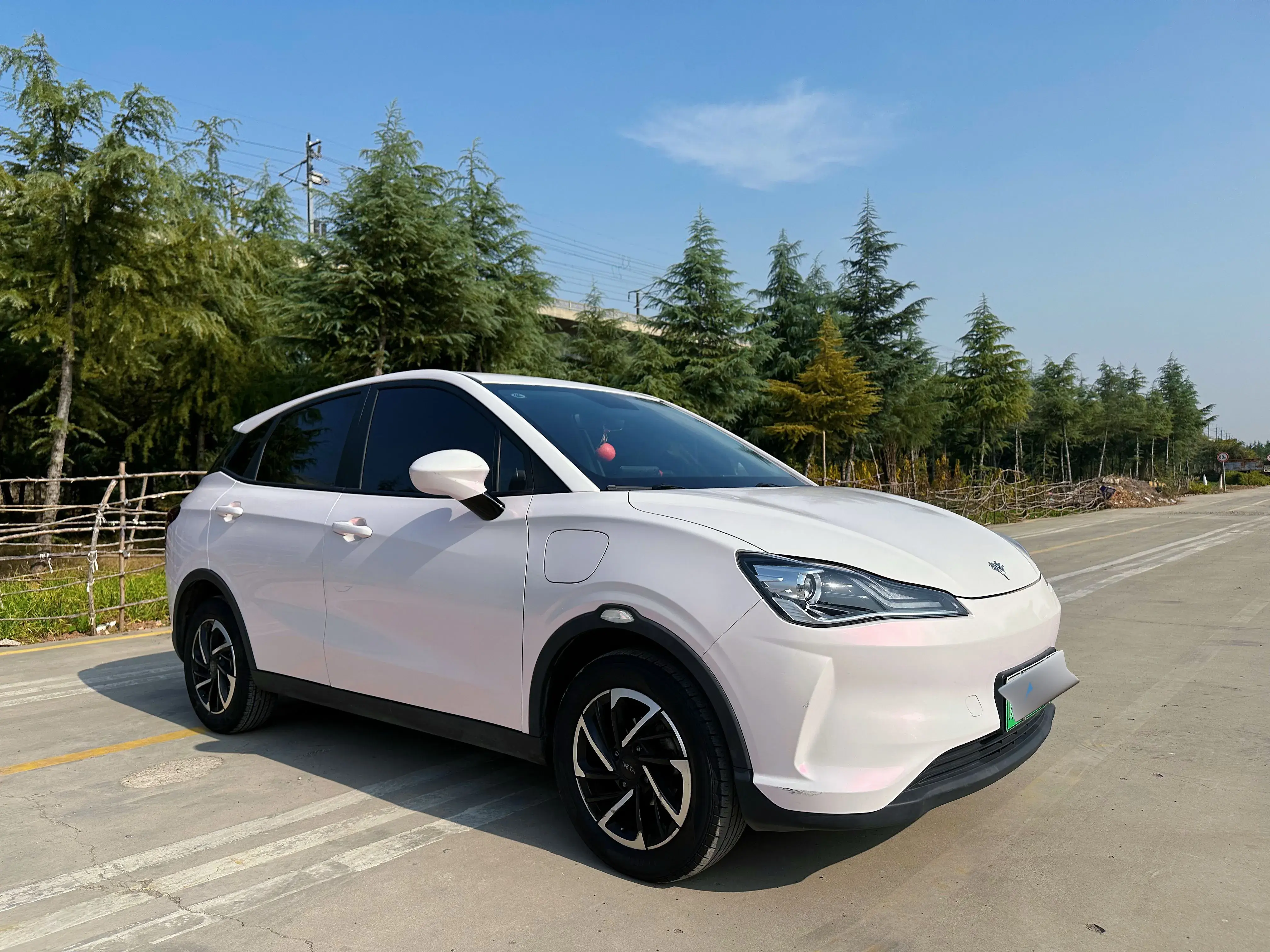 2021 NETA V thumbnail 3