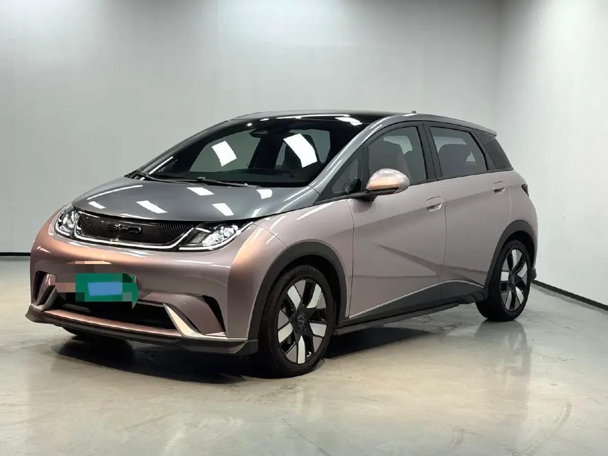 2021 BYD Dolphin BEV 44.9KWH