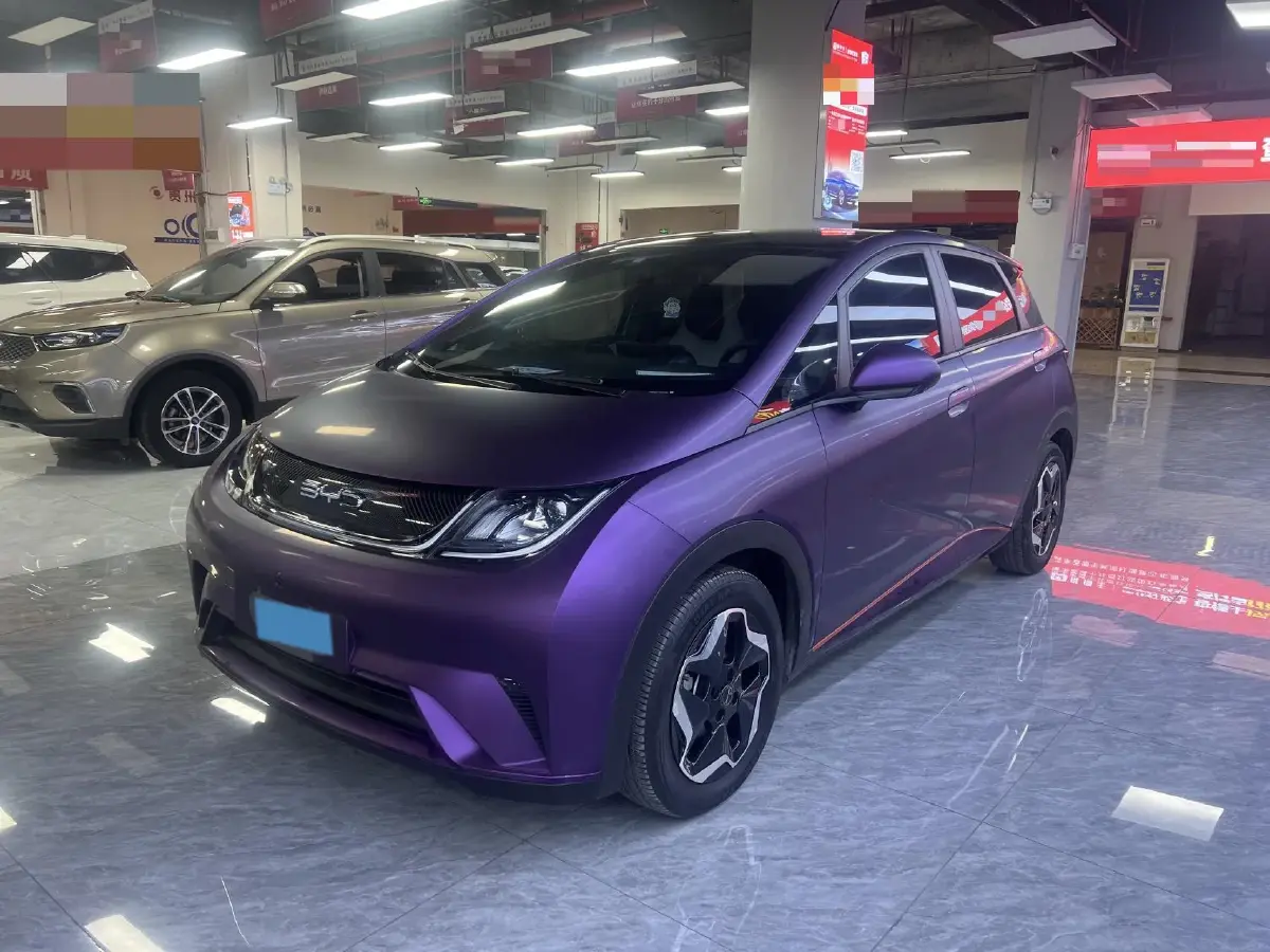 2021 BYD Dolphin BEV 44.9KWH