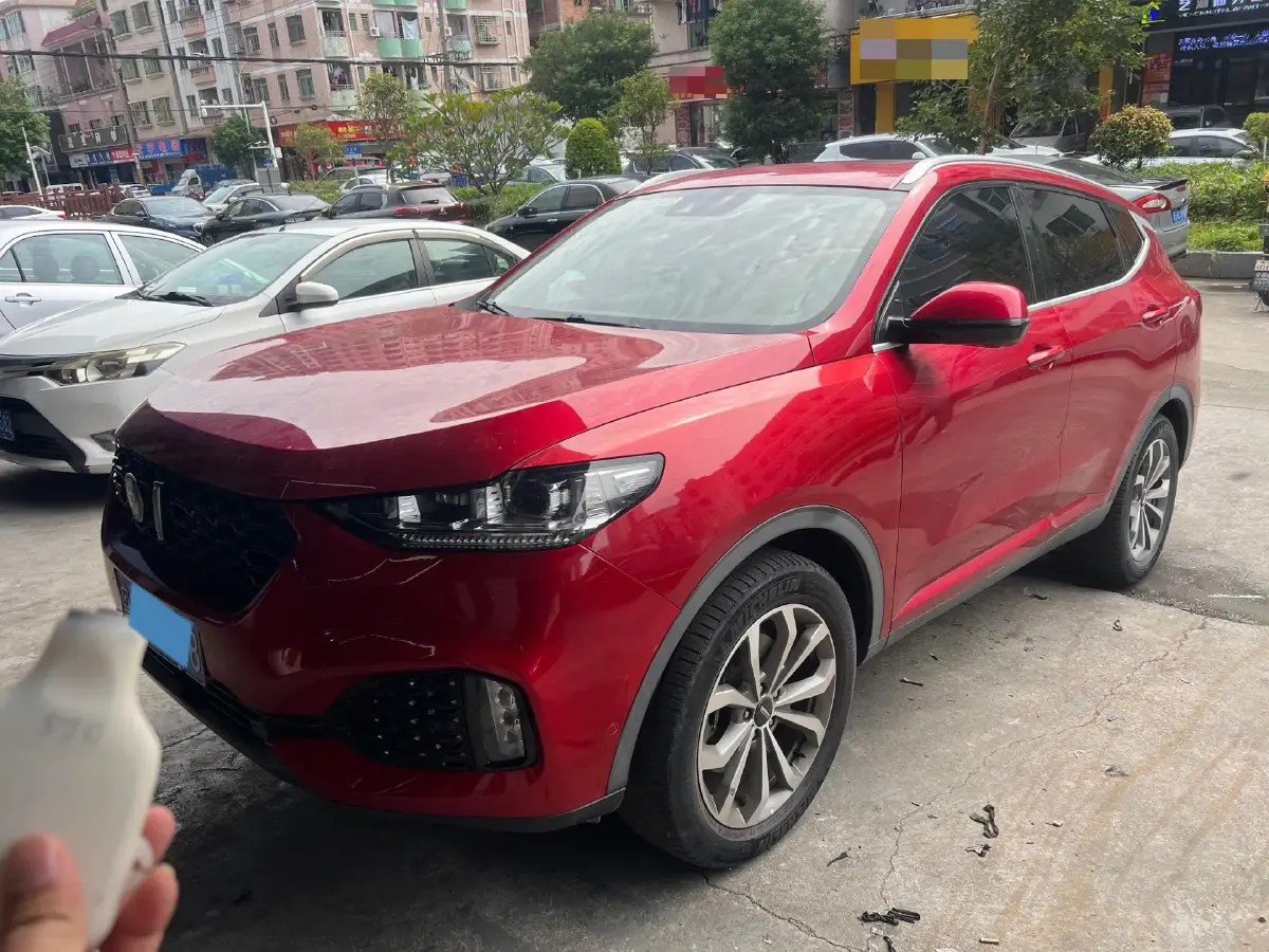 2018 WEY VV6 2.0T 197HP L4 7DCT