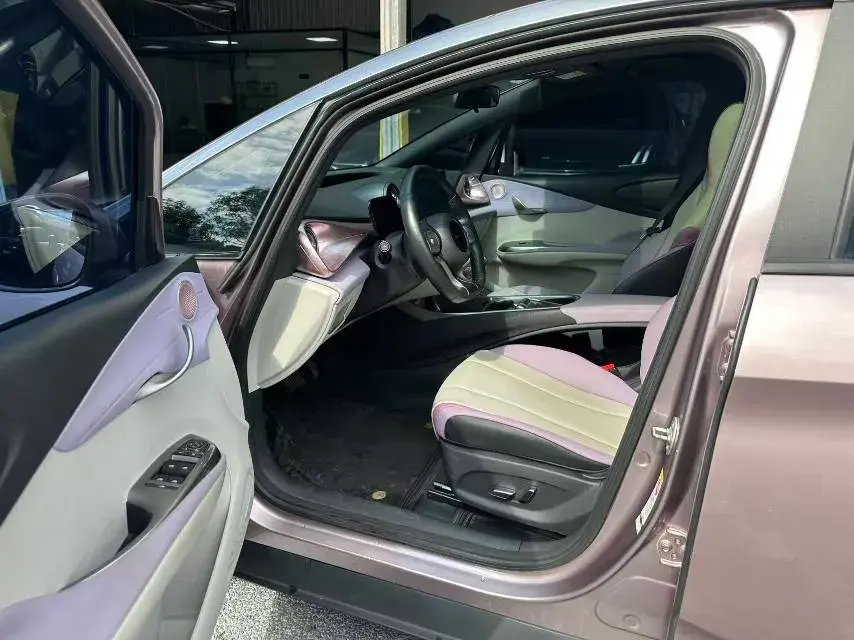 2021 BYD DOLPHIN thumbnail 4