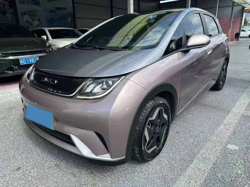 2021 BYD Dolphin BEV 44.9KWH