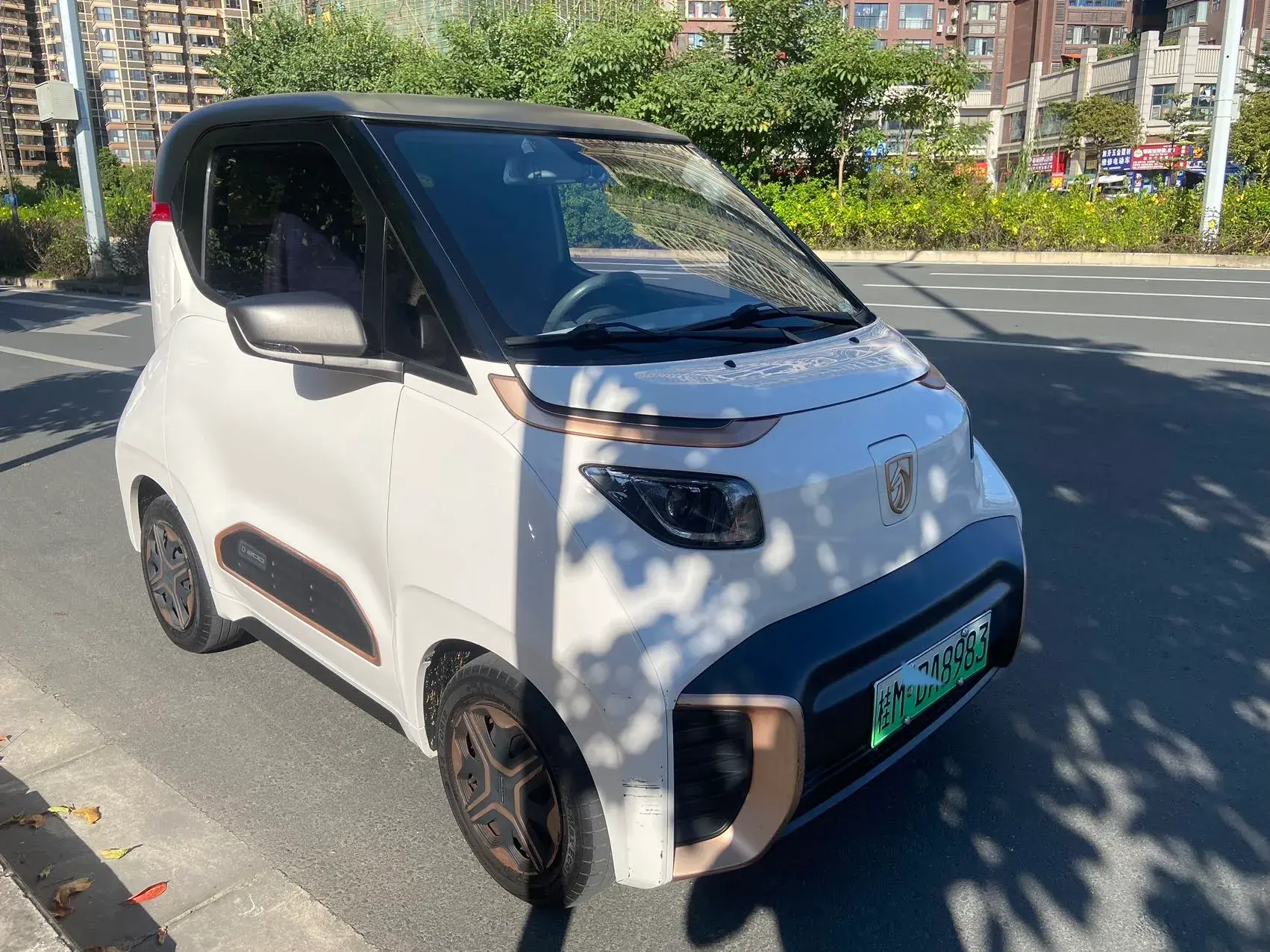 2020 BAOJUN E200 thumbnail 4