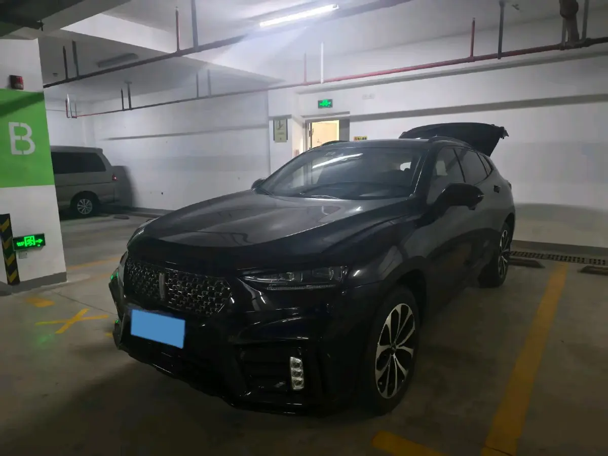 2020 WEY VV7 2.0T 227HP L4 7DCT