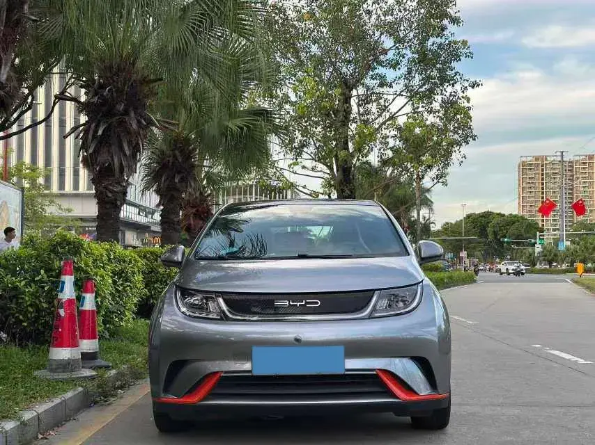 2021 BYD DOLPHIN thumbnail 2