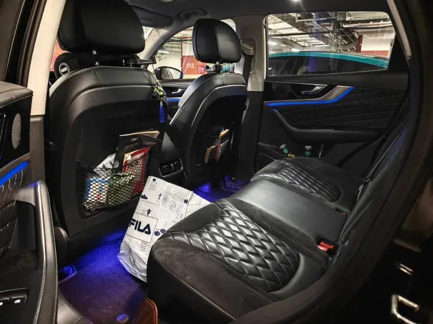 2019 HONGQI HS5 thumbnail 4