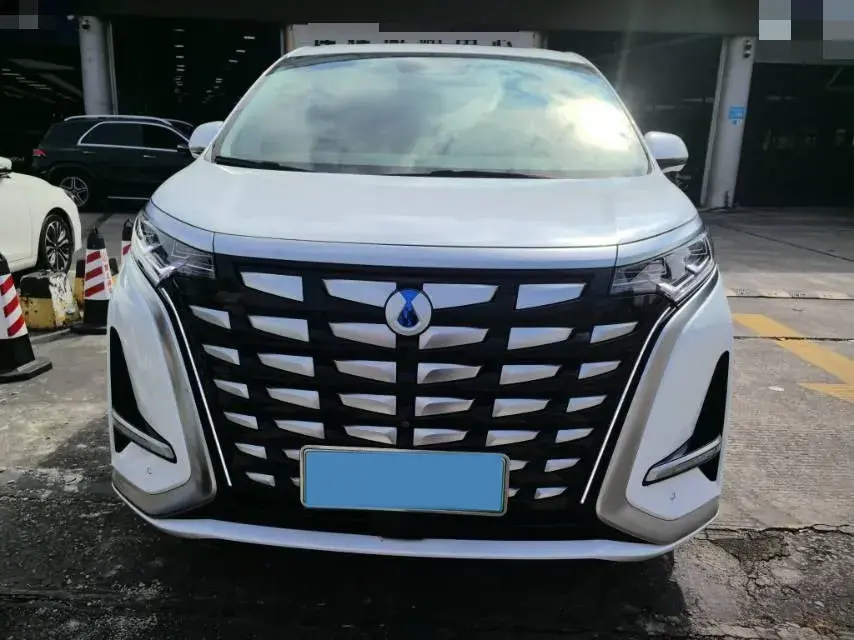 2022 DENZA D9 thumbnail 2